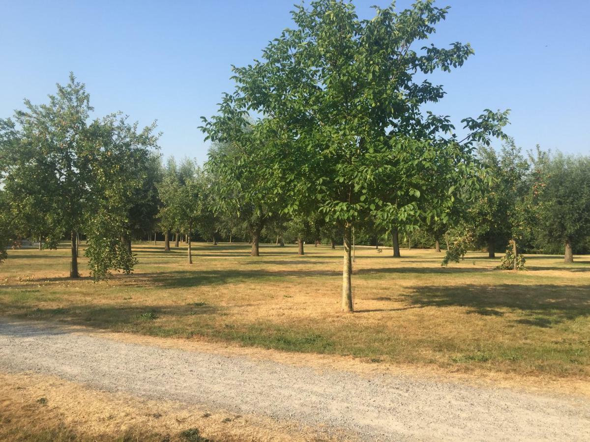 Apartment Am Park Tönisvorst Εξωτερικό φωτογραφία