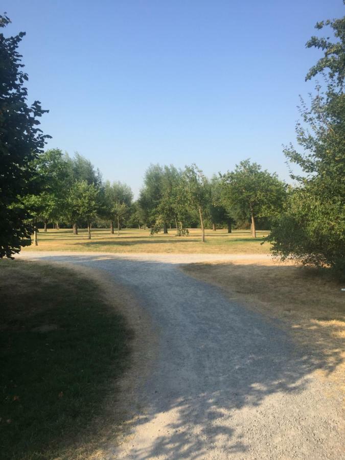Apartment Am Park Tönisvorst Εξωτερικό φωτογραφία